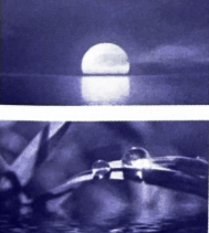 Bài tập phát triển năng lực Tiếng Việt lớp 3 Tuần 21: Khu vườn tuổi thơ (trang 12, 13, 14, 15) (ảnh 1)