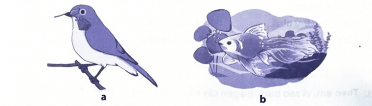 Bài tập phát triển năng lực Tiếng Việt lớp 3 Tuần 21: Khu vườn tuổi thơ (trang 12, 13, 14, 15) (ảnh 2)