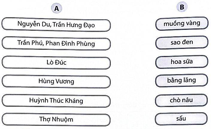 Bài tập phát triển năng lực Tiếng Việt lớp 3 Tuần 28: Quê hương em (trang 39, 40, 41, 42, 43) (ảnh 3)