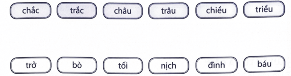 Bài tập phát triển năng lực Tiếng Việt lớp 3 Tuần 31: Nghề truyền thống (trang 51, 52, 53, 54, 55) (ảnh 3)