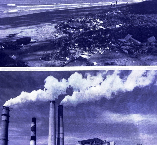 Bài tập phát triển năng lực Tiếng Việt lớp 3 Tuần 33: Cảm ơn thiên nhiên (trang 62, 63, 64, 65) (ảnh 2)