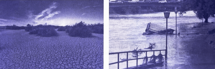 Bài tập phát triển năng lực Tiếng Việt lớp 3 Tuần 34: Lời của cây (trang 66, 67, 68) (ảnh 2)