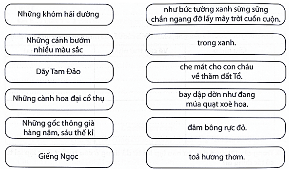 Bài tập phát triển năng lực Tiếng Việt lớp 5 Tuần 27: Ôn tập giữa học kì 2 (trang 40, 41, 42, 43, 44, 45, 46)
