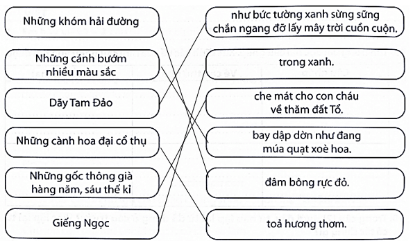 Bài tập phát triển năng lực Tiếng Việt lớp 5 Tuần 27: Ôn tập giữa học kì 2 (trang 40, 41, 42, 43, 44, 45, 46)