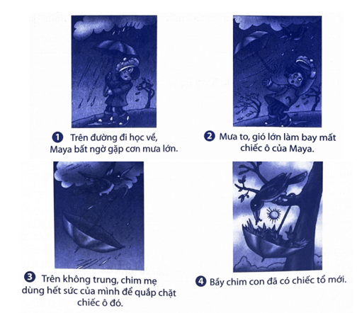 Bài tập phát triển năng lực Tiếng Việt lớp 5 Tuần 32 (trang 64, 65, 66, 67, 68)