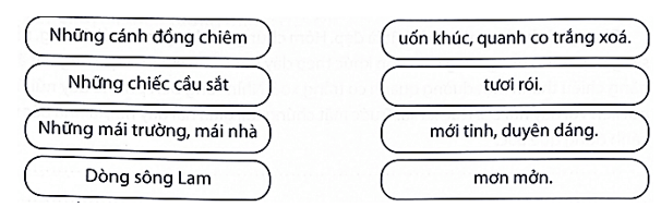 Bài tập phát triển năng lực Tiếng Việt lớp 5 Tuần 35: Ôn tập cuối học kì 2 (trang 76, 77, 78, 79, 80)