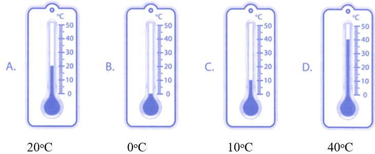 Bài tập phát triển năng lực Toán lớp 3 Tuần 13 (trang 52, 53, 54, 55, 56)