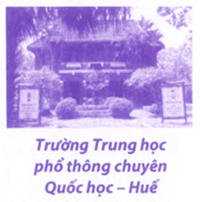 Bài tập phát triển năng lực Toán lớp 3 Tuần 27 (trang 34, 35, 36, 37)