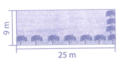 Bài tập phát triển năng lực Toán lớp 4 Tuần 11 (trang 46, 47, 48, 49)