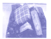 Bài tập phát triển năng lực Toán lớp 4 Tuần 21 (trang 9, 10, 11, 12, 13)