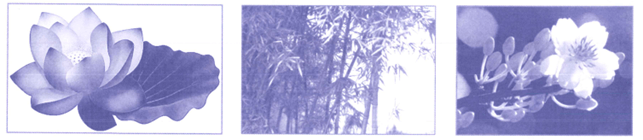 Bài tập phát triển năng lực Toán lớp 4 Tuần 27 (trang 33, 34, 35, 36, 37)