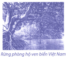 Bài tập phát triển năng lực Toán lớp 4 Tuần 29 (trang 41, 42, 43, 44, 45)