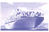 Bài tập phát triển năng lực Toán lớp 4 Tuần 30 (trang 45, 46, 47, 48, 49)