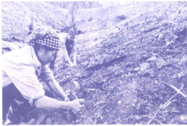 Bài tập phát triển năng lực Toán lớp 4 Tuần 30 (trang 45, 46, 47, 48, 49)