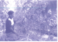 Bài tập phát triển năng lực Toán lớp 4 Tuần 32 (trang 54, 55, 56, 57, 58)