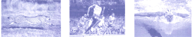 Bài tập phát triển năng lực Toán lớp 4 Tuần 35 (trang 67, 68, 69, 70, 71, 72, 73, 74, 75)