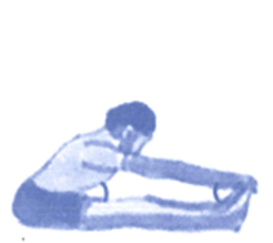 Bài tập phát triển năng lực Toán lớp 4 Tuần 4 (trang 16, 17, 18, 19, 20)