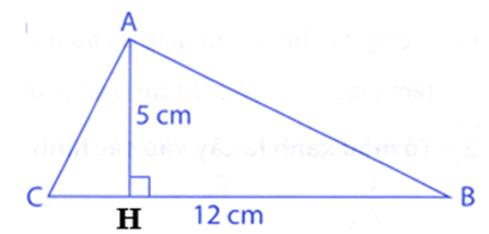 Bài tập phát triển năng lực Toán lớp 5 Tuần 12 (trang 49, 50, 51, 52, 53, 54)