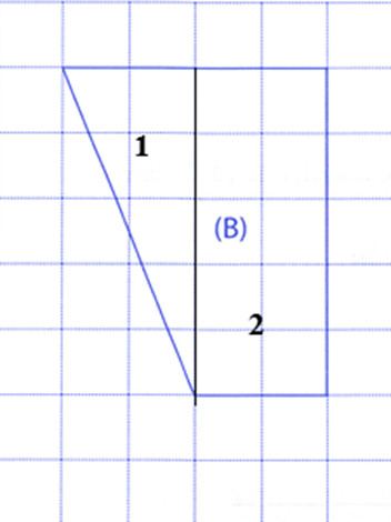 Bài tập phát triển năng lực Toán lớp 5 Tuần 14 (trang 60, 61, 62, 63, 64, 65)
