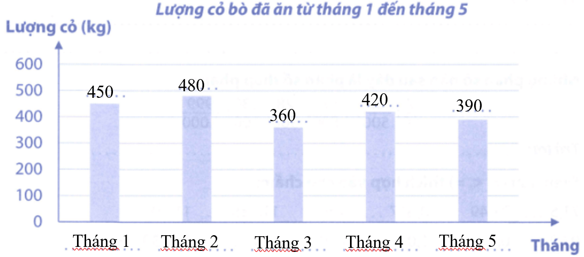 Bài tập phát triển năng lực Toán lớp 5 Tuần 31 (trang 62, 63, 64, 65)