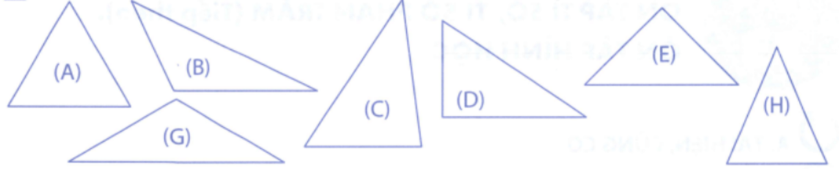 Bài tập phát triển năng lực Toán lớp 5 Tuần 33 (trang 71, 72. 73, 74) 