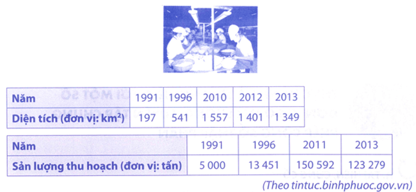 Bài tập phát triển năng lực Toán lớp 5 Tuần 7 (trang 27, 28, 29, 30, 31)