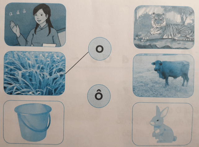 Tiếng Việt lớp 1 Tập 1 Tuần 2 Tiết 1 O o dấu hỏi Ô ô dấu nặng trang 9, 10 (Dành cho buổi học thứ hai) (ảnh 1)