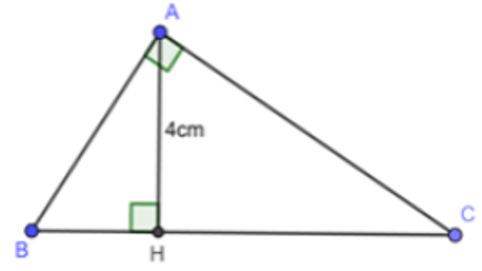 Trắc nghiệm Một số hệ thức về cạnh và đường cao trong tam giác vuông có đáp án