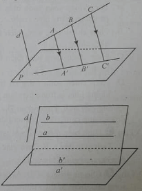 Bài tập trắc nghiệm Hình học 11 | Câu hỏi trắc nghiệm Hình học 11