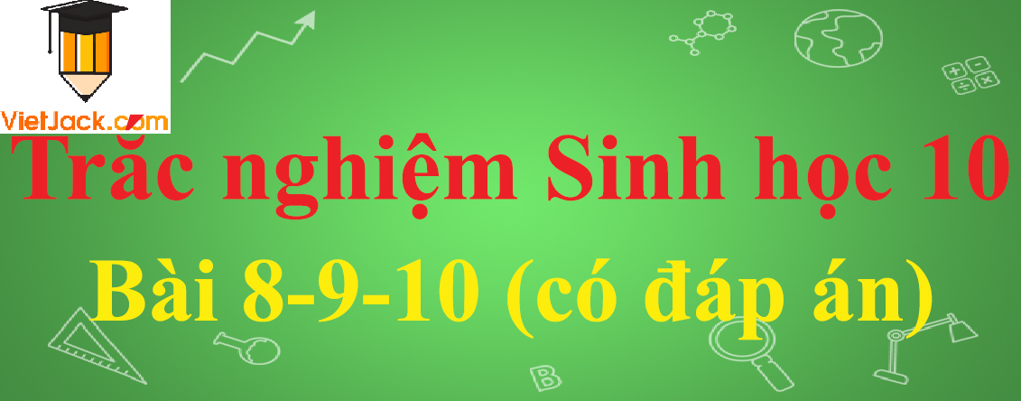 Trắc nghiệm Sinh học 10 Bài 8, 9, 10: Tế bào nhân thực