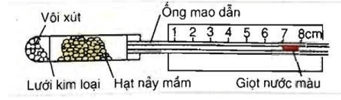 Trắc nghiệm Sinh 11 Bài 12 có đáp án năm 2023 (sách mới)