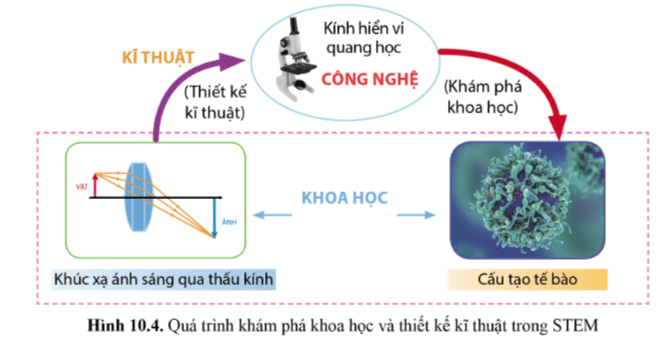 Nêu mối liên hệ giữa các thành phần trong STEM thể hiện ở ví dụ minh họa hình 10.4