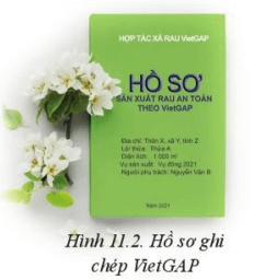 Quan sát hình 11.2 xem các bảng 11.1 - 11.7 và cho biết trong hồ sơ ghi chép cần có các thông tin gì?