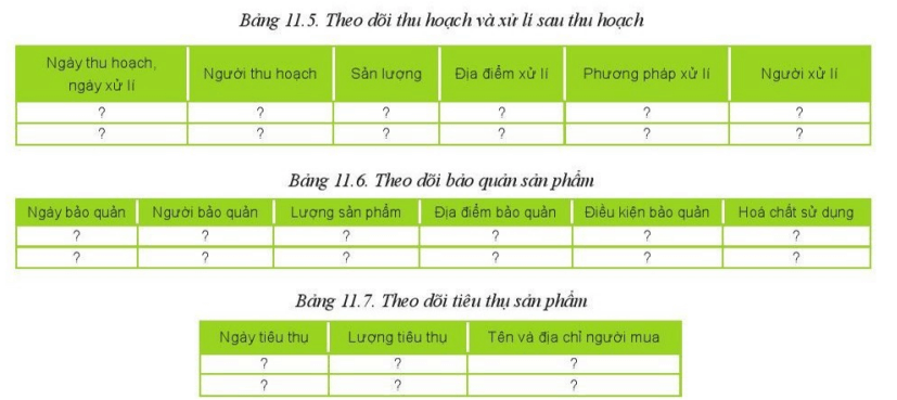 Quan sát hình 11.2 xem các bảng 11.1 - 11.7 và cho biết trong hồ sơ ghi chép cần có các thông tin gì?