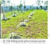 Chuyên đề Công nghệ 10 trang 70 Cánh diều