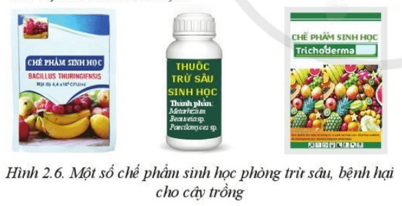 Kể tên thành phần của các loại phân bón và chế phẩm sinh học có trong Hình 2.5 và 2.6