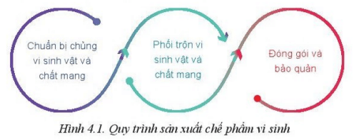 Mô tả các bước sản xuất chế phẩm vi sinh trong Hình 4.1