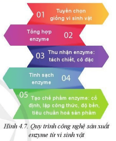 Chuyên đề Công nghệ 10 trang 22 Cánh diều