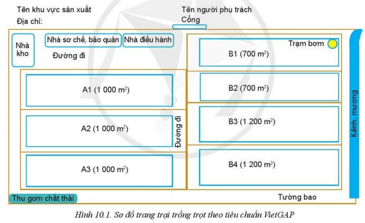 Chuyên đề Công nghệ 10 trang 54 Cánh diều