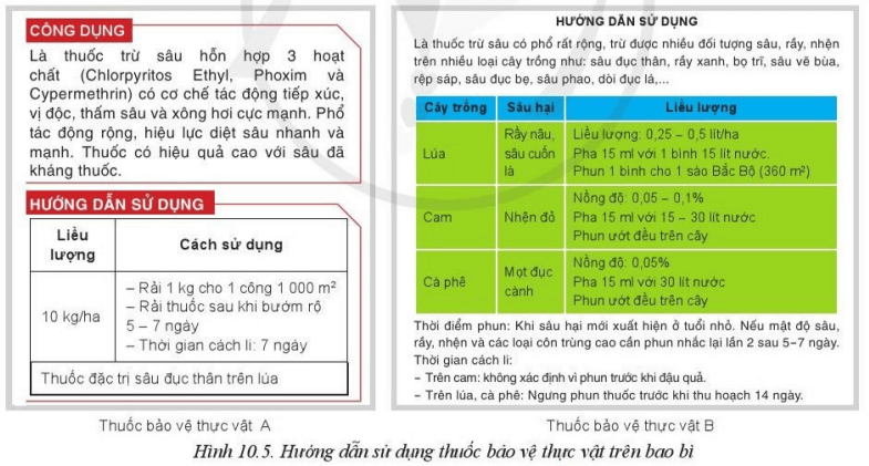 Đọc hướng dẫn sử dụng trong hình 10.5 và cho biết yêu cầu cách li của thuốc A và B như thế nào?