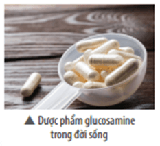 Glucosamine có vai trò quan trọng trong việc phát triển và duy trì sụn trong khớp