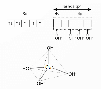 Mô tả sự hình thành liên kết biểu diễn dạng hình học của các ion phức chất sau