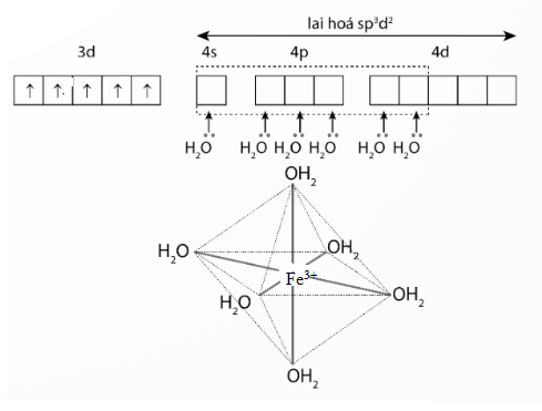 Mô tả sự hình thành liên kết biểu diễn dạng hình học của các ion phức chất sau