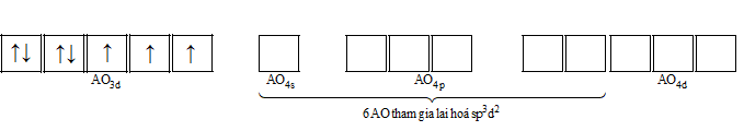 Phức chất [Co(OH2)6]2 có dạng hình học bát diện. Giải thích sự tạo thành liên kết