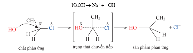 Viết phương trình hoá học phản ứng thuỷ phân chloroethane và 2 – chloro – 2 – methylpropane