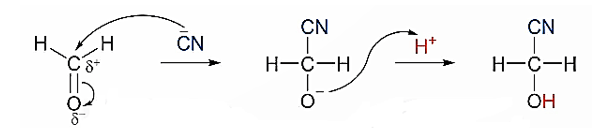 Viết được cơ chế cộng electrophile vào phân tử alkene. Giải thích được sự tạo thành sản phẩm