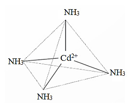 Theo thực nghiệm phức chất [Cd(NH3)4]2 có dạng hình học tứ diện. Hãy vẽ dạng hình học