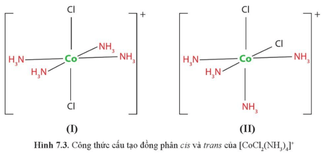 Chỉ ra đồng phân cis và trans của phức chất bát diện [CoCl2(NH3)4] ở Hình 7.3