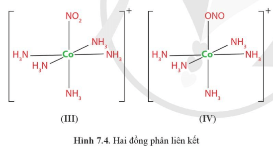 Vì sao nguyên tử N và một nguyên tử O trong anion NO2 đều có thể tạo liên kết