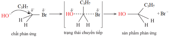 Trình bày cơ chế của phản ứng thuỷ phân 1 – bromobutane bằng dung dịch NaOH